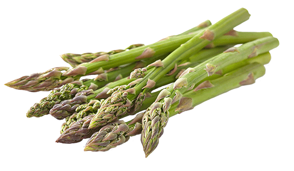 stock photo asparagus

