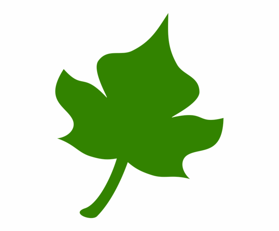 Icon Leaf Green Tree Nature Leaves Plant Yaprak