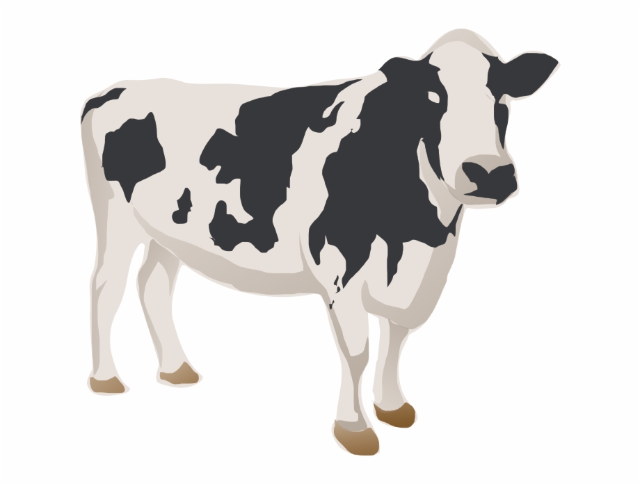 Cattle Png Download Dairy Cow