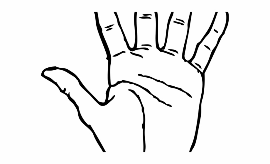 Hand Clipart Outline Hand Clip Art Png