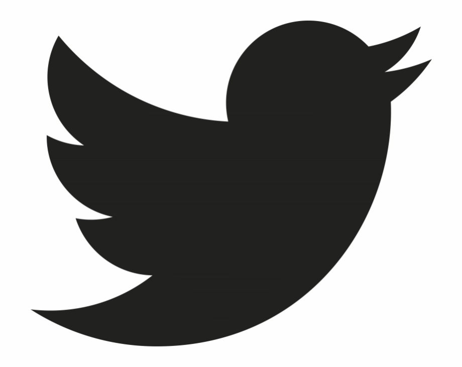 Social Media Icon Grey Twitter Logo No Background