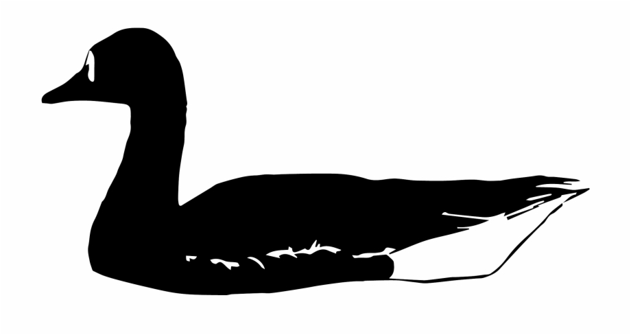 Birds Clipart Black Swan Goose Clipart Black And