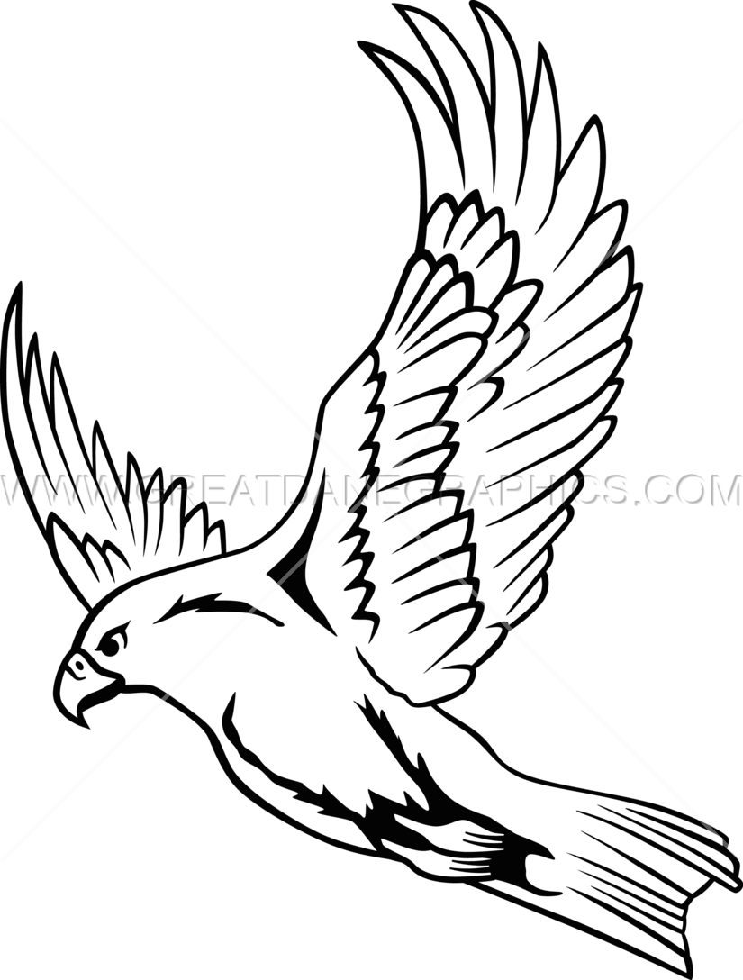 Falcon Line Drawing At Getdrawings Falcon Flying Clipart