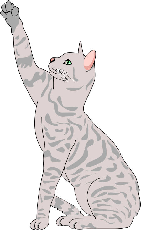 Cat Clipart Png Realistic Clip Art Cat