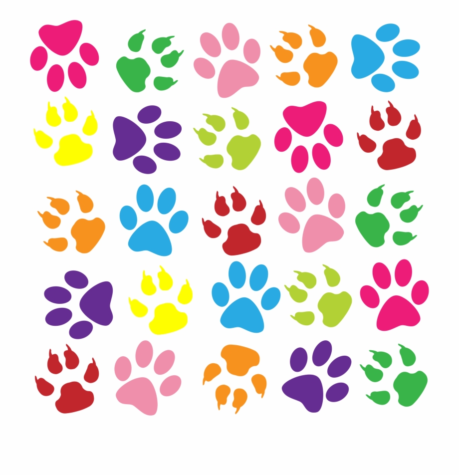 Colouful Clipart Paw Print Colorful Paw Prints