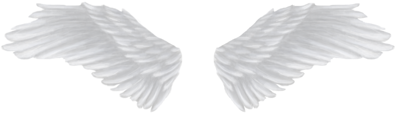 White Angel Wings Png Image Background White Angel