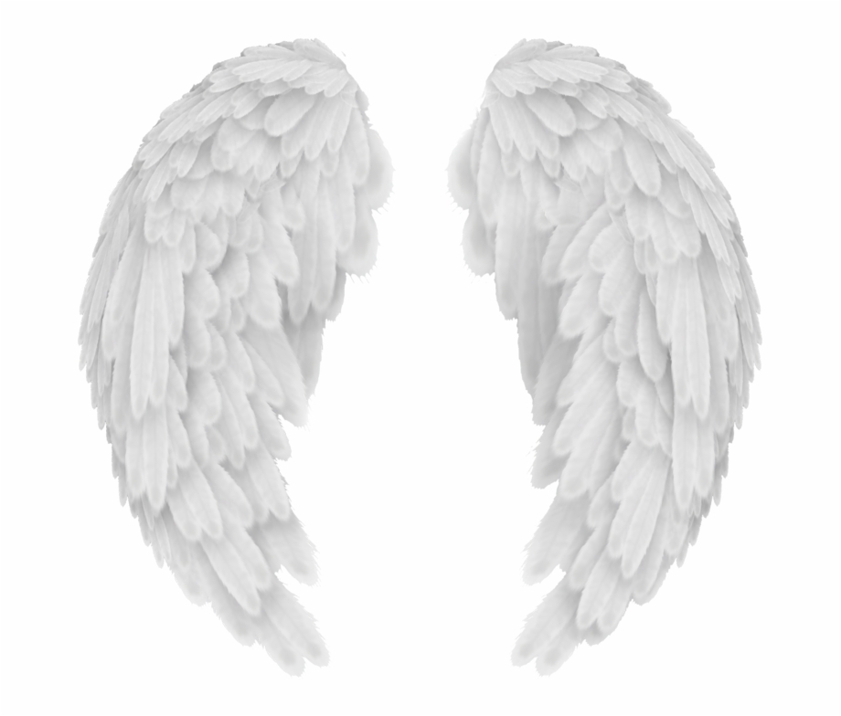 White Angel Wings Png Transparent Image Vector Clipart