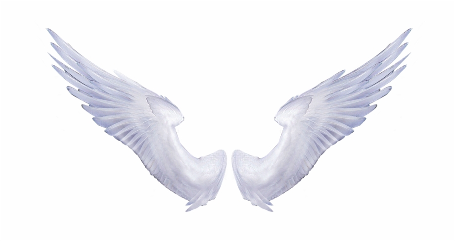 Angel Wings Png Tabitha The Goat