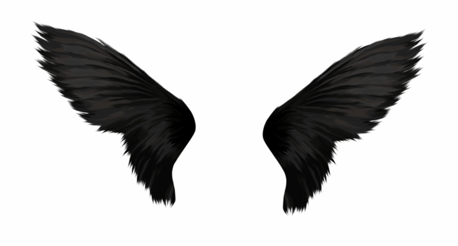 angel black wings png
