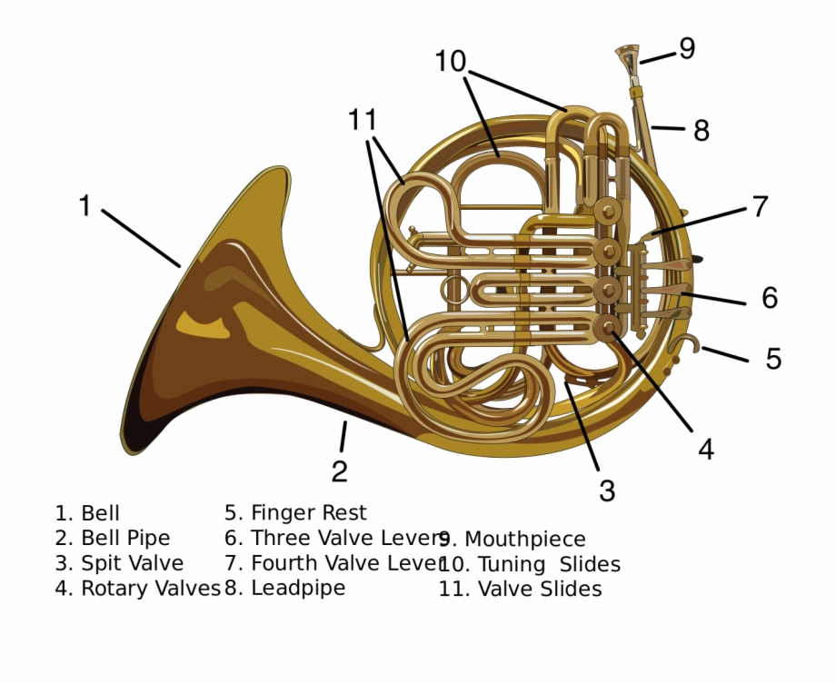 File Carynprice French Horn Svg Parts Of A