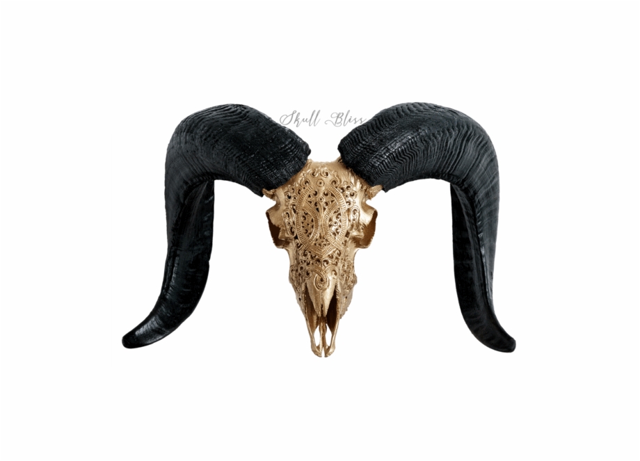 Carved Ram Skull Horn