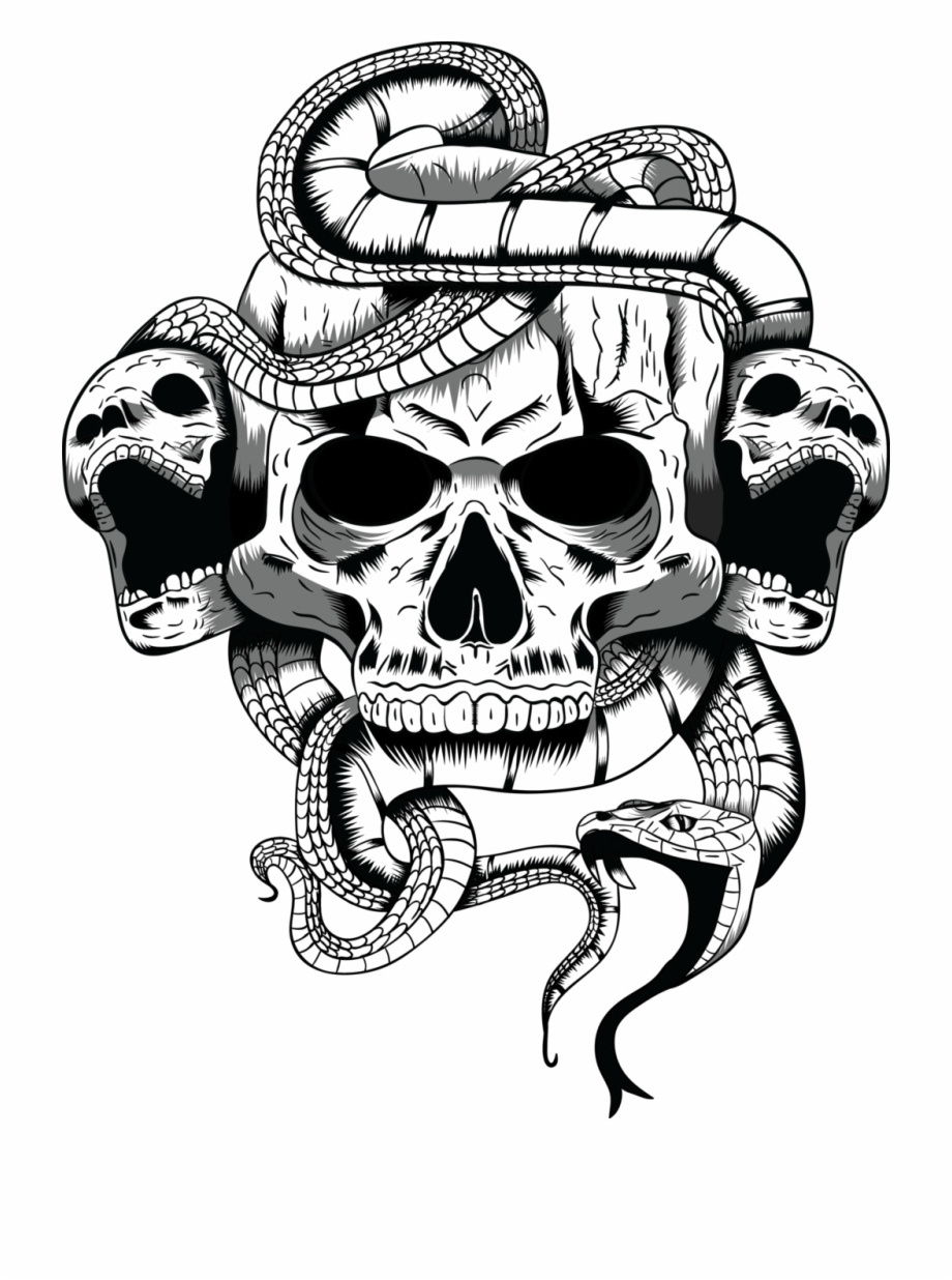 Skull Art Png Skull With Snake Transparent