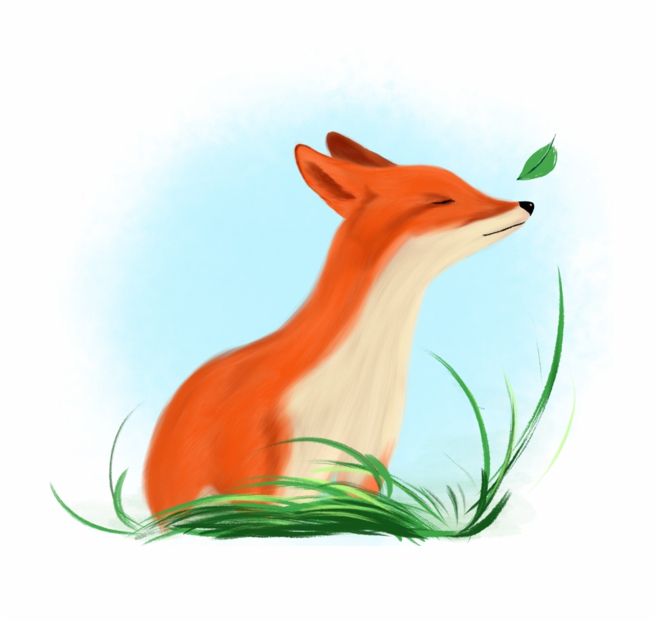 Fox Hand Drawn Realistic Fresh Png And Psd