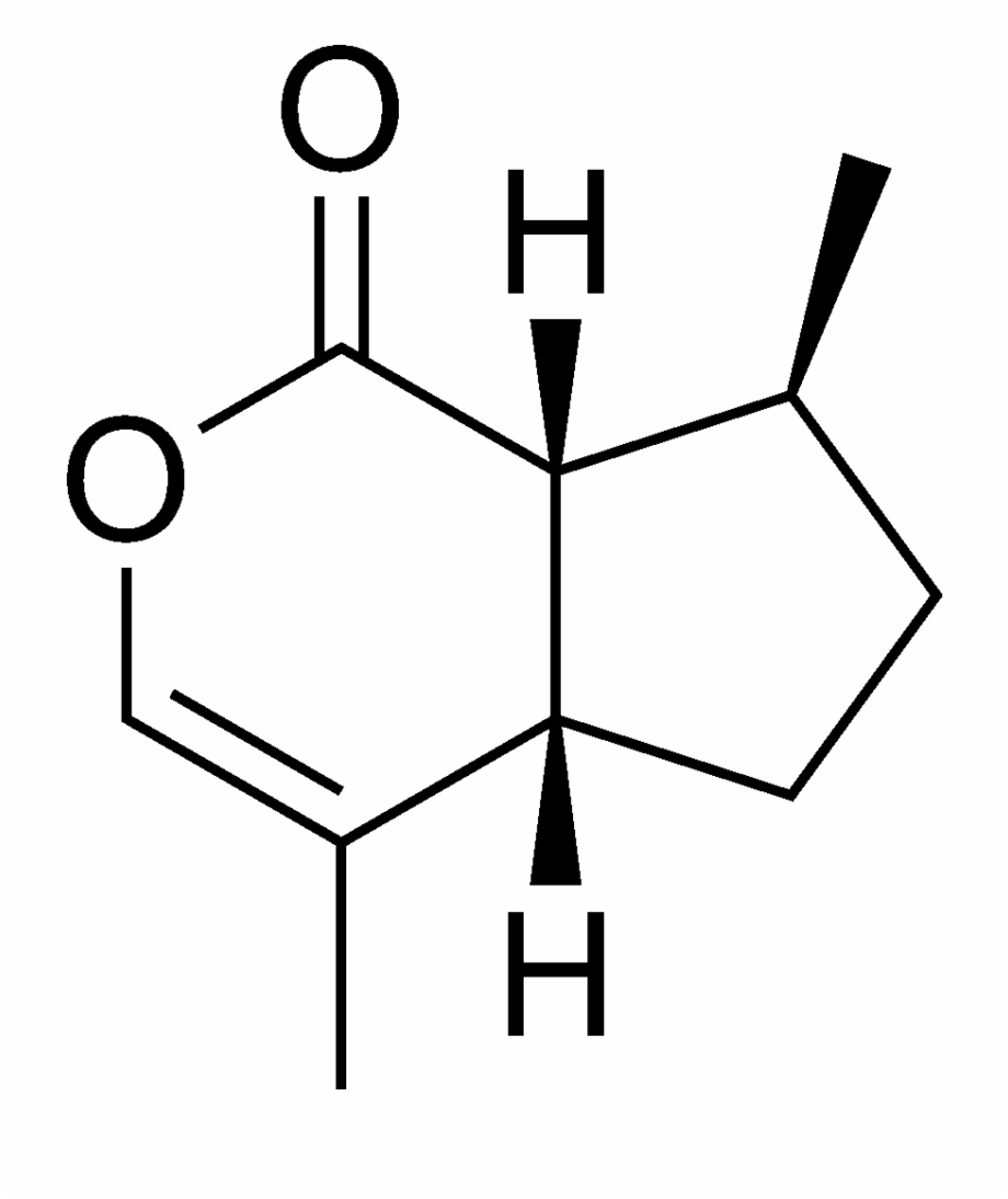 Chemical Structure Of The Cat Attractant Nepetalactone Cat
