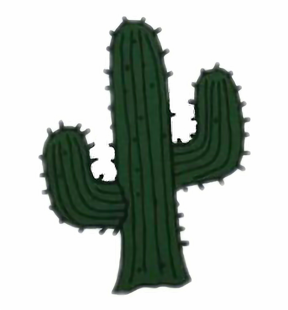 Cactus Clipart San Pedro Transparent Cactus Tumblr Png