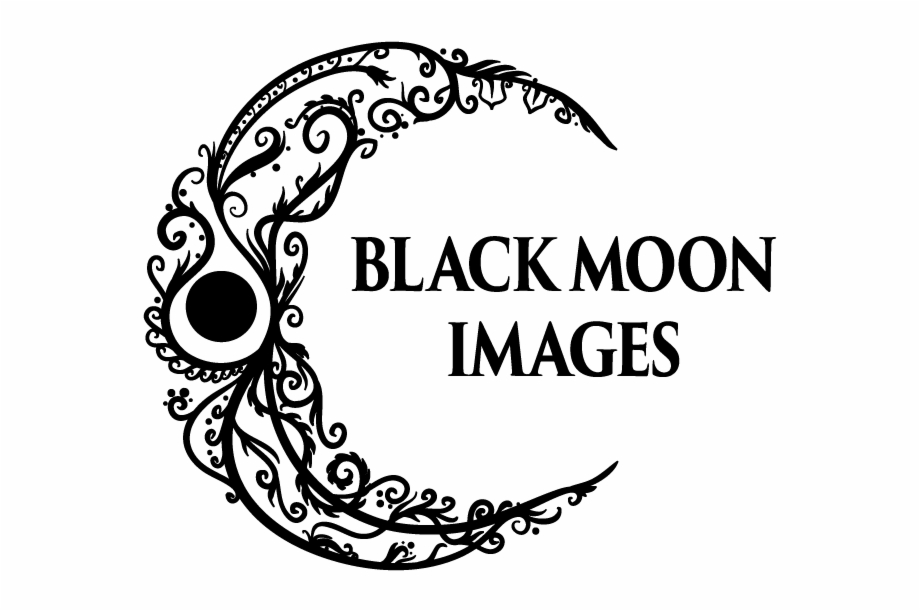 Black Moon Images Logo Illustration Vector Filigree Illustration