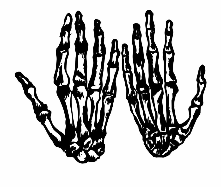 Skeleton Hands Illustration