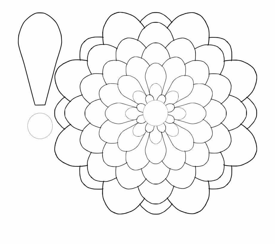 Drawn Templates Flower Drawing Easy Draw Big Flower