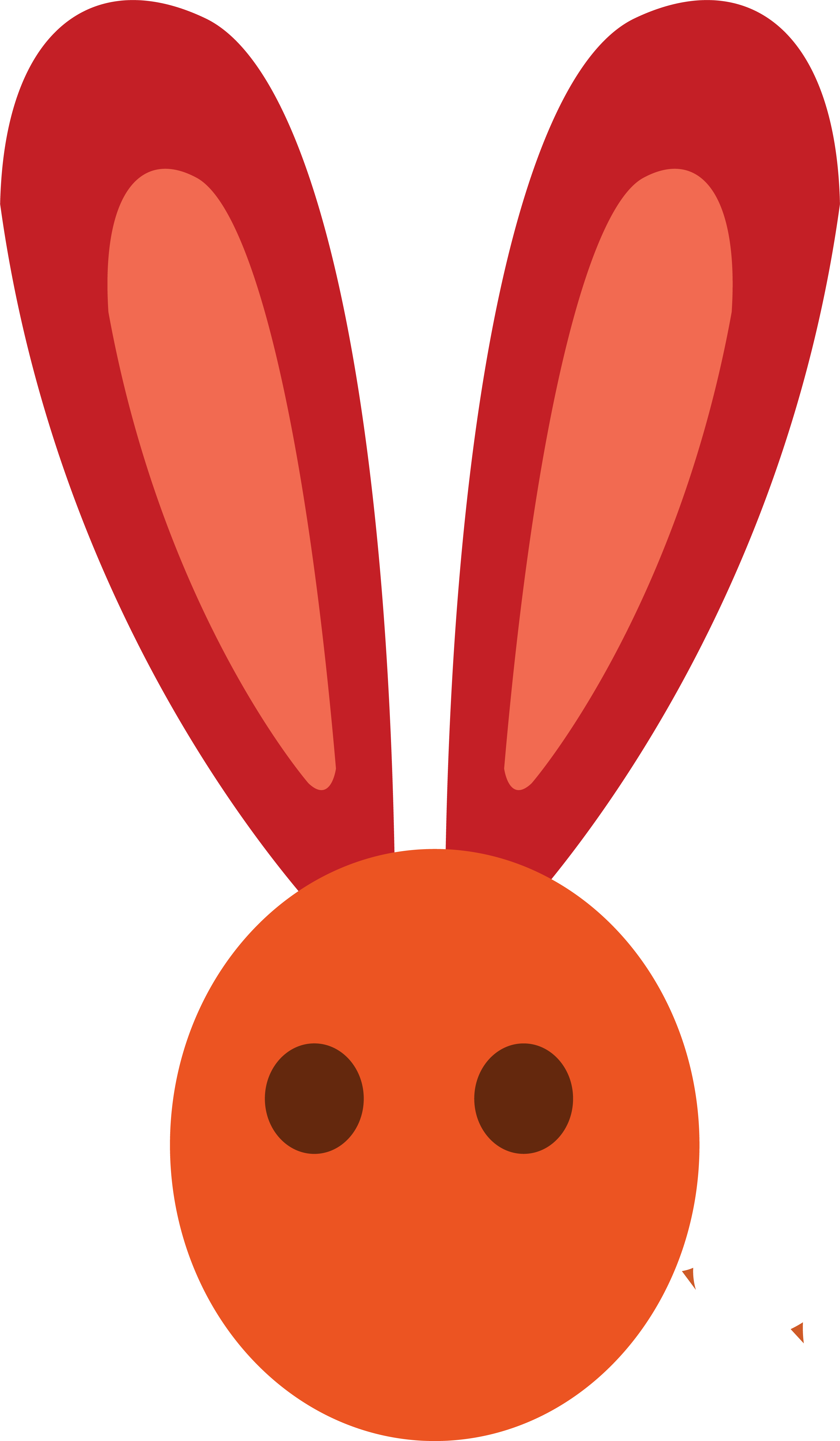 European Rabbit Leporids Domestic Ear Red Transprent Orelha