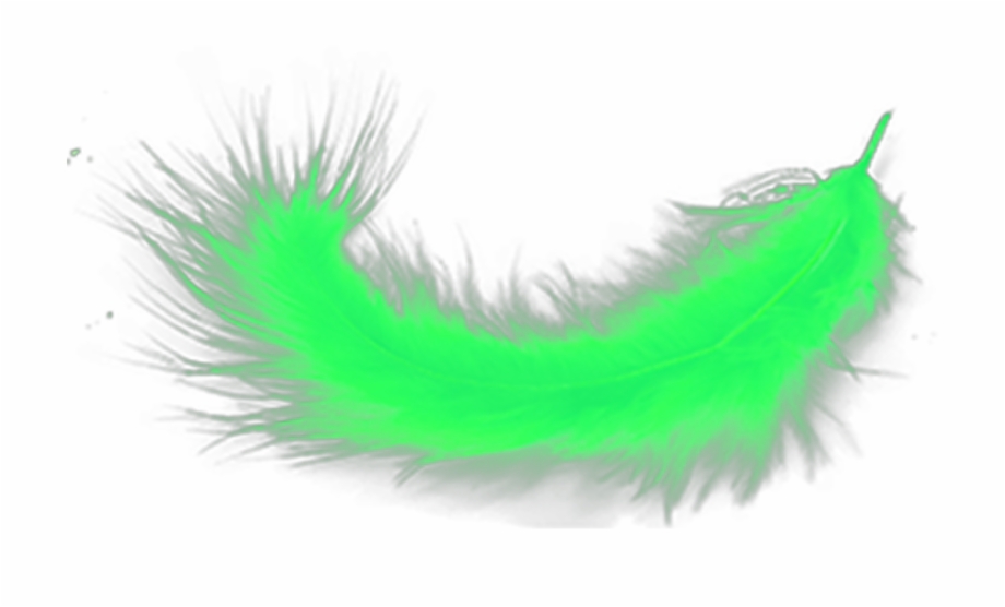 Ftestickers Feather Green Limegreen Grass