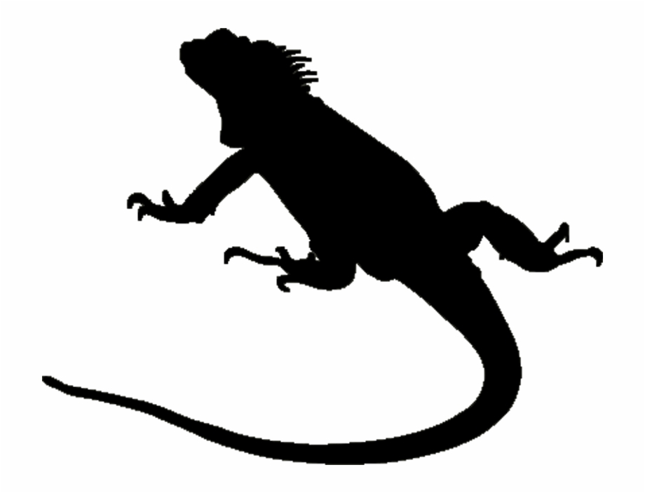 iguana silhouette clipart
