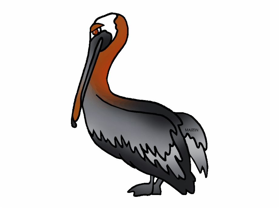 Pelican Clipart Brown Pelican State Of Louisiana State