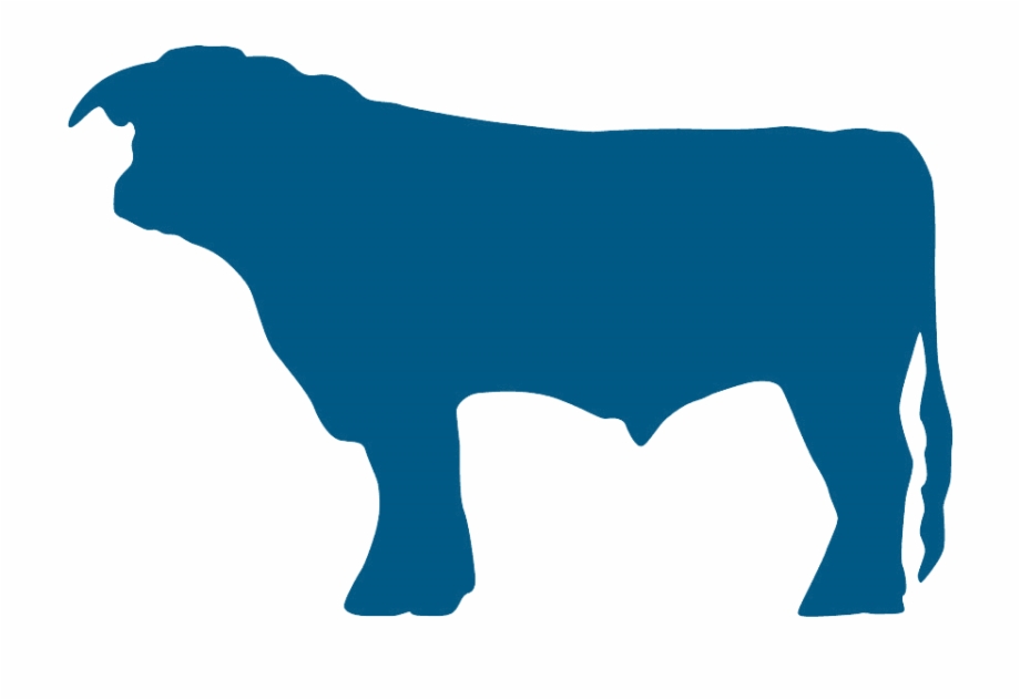 White Bull Blue Bull Dairy Cow