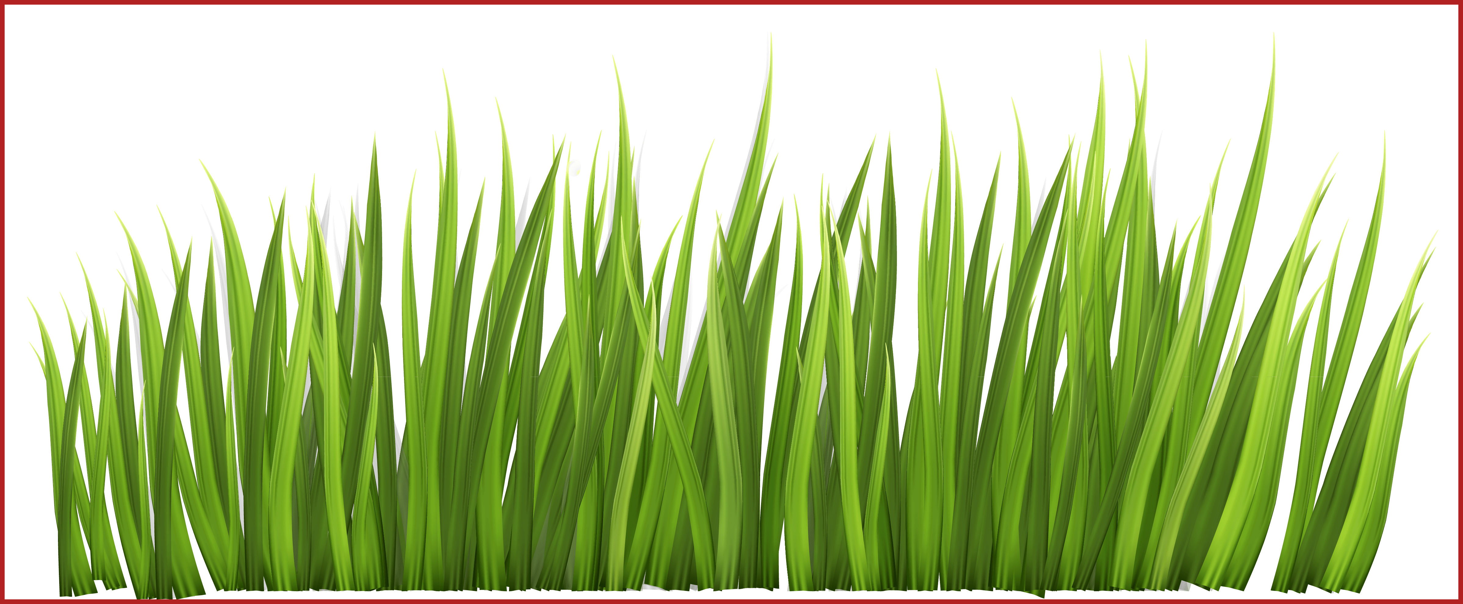 grass clipart
