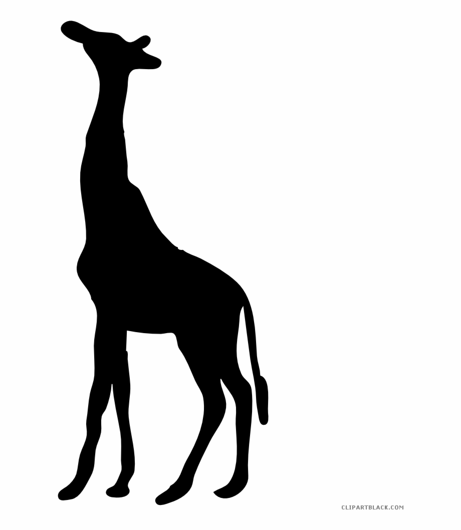 Jpg Transparent Library Giraffe Black And White Clipart