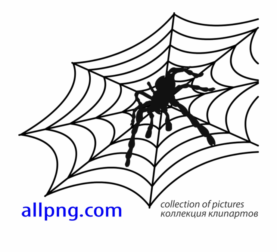 Spider Web Vector Png Spider Web