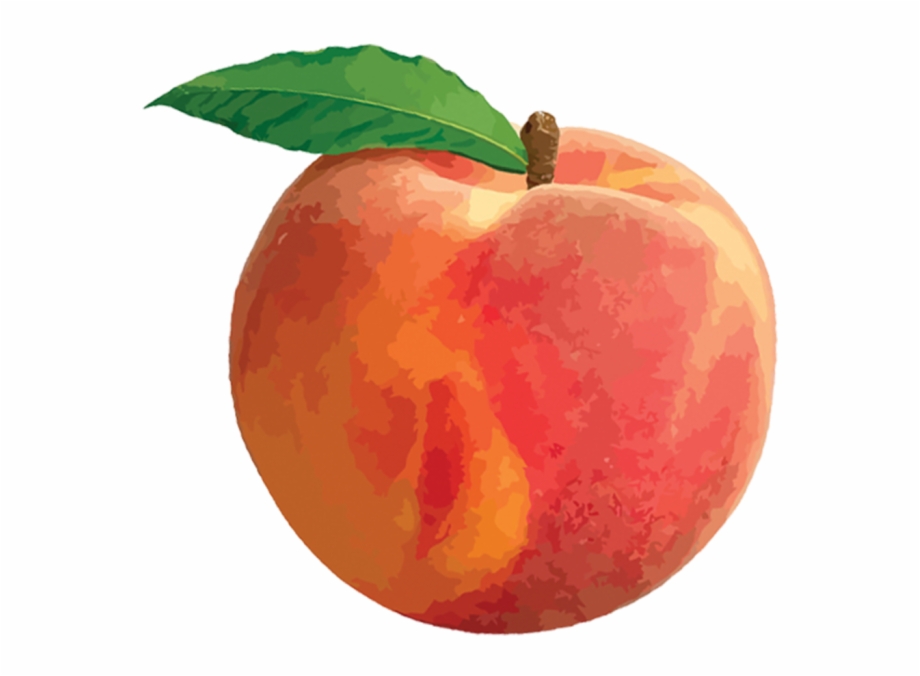 transparent background peach clipart
