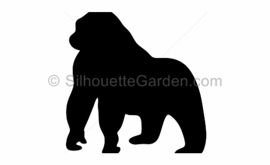 Silhouette Of Gorilla