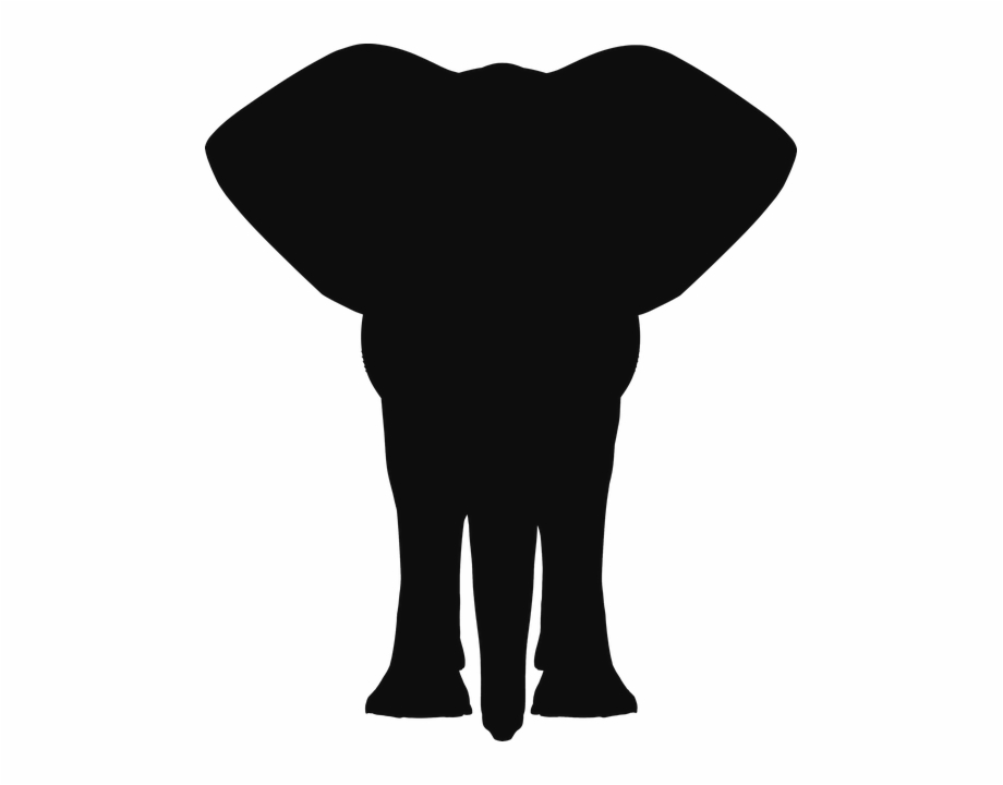 Africa Animal Asia Elephant Mammal Pachyderm Elephant Head