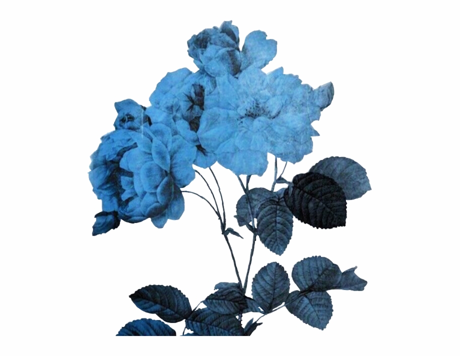transparent blue aesthetic png
