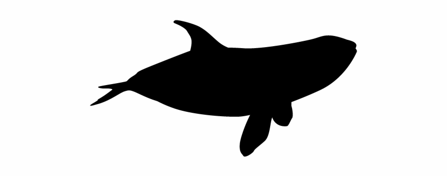 Killer Whale Silhouette Animals Illustration Whale