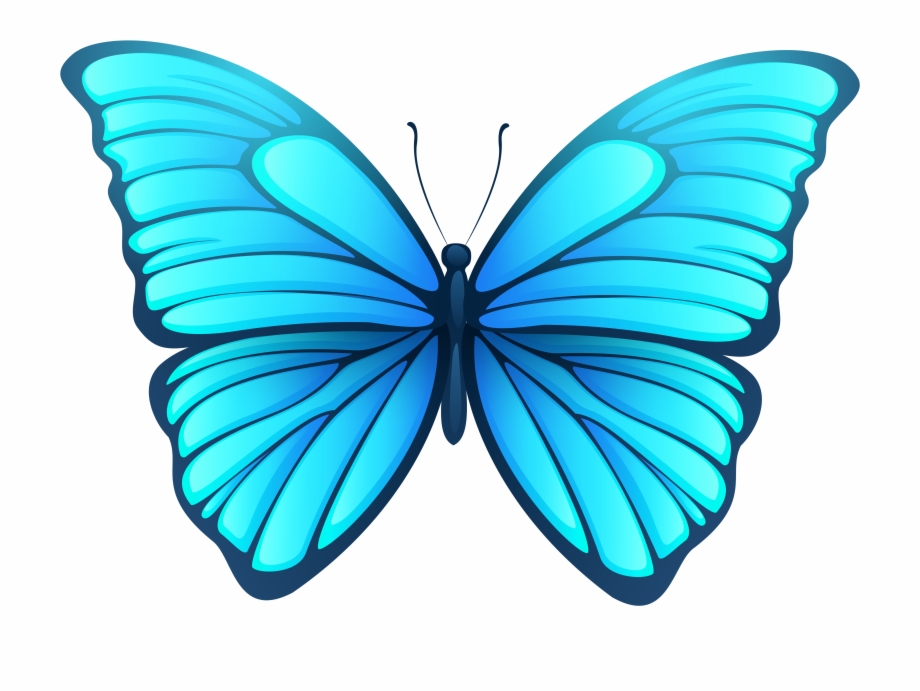 Butterfly Png Images Transparent Background Butterfly Png