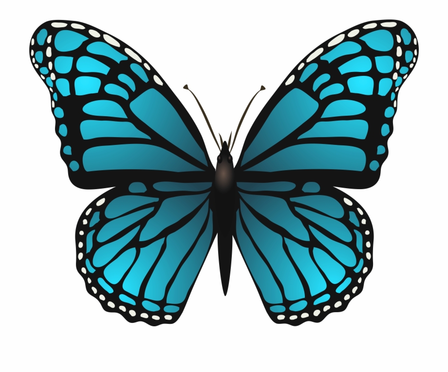 Butterfly Png Transparent Blue Butterfly Clipart Png