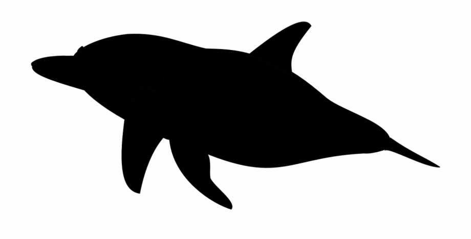Killer Whale Clipart Silhouette Dolphin Silhouette Transparent Background