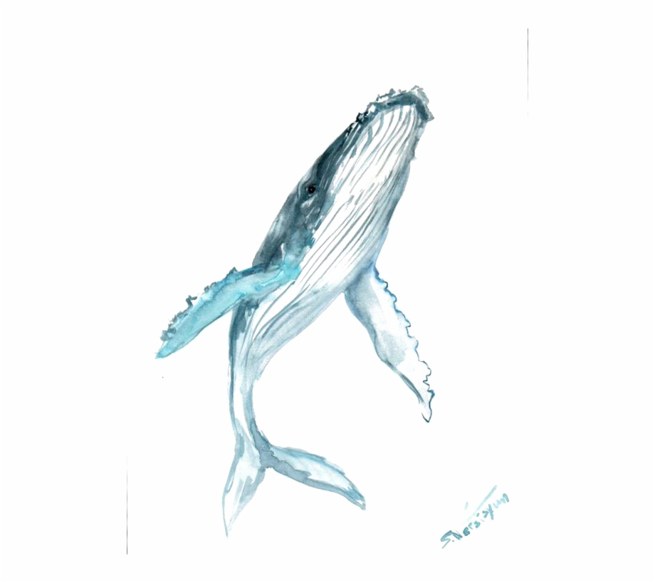 Blue Watercolor Whale Humpback Painting Drawing Clipart Blue