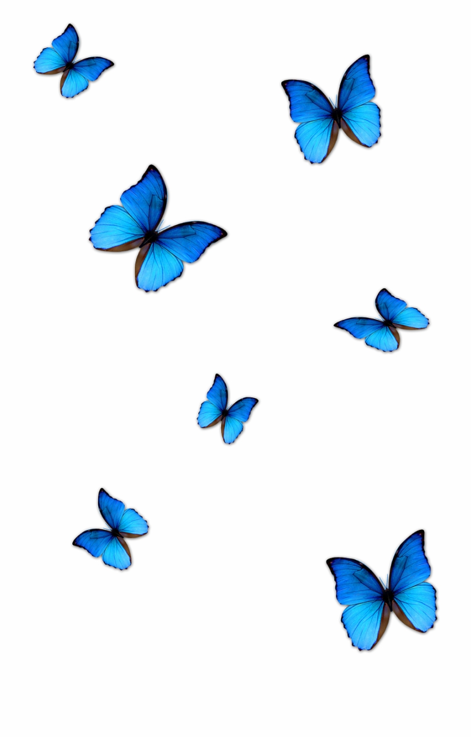 Kisspng Butterfly Blue Phengaris Alcon Blue Butterfly Butterfly