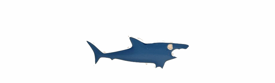 Shark Whale Pin Squaliformes