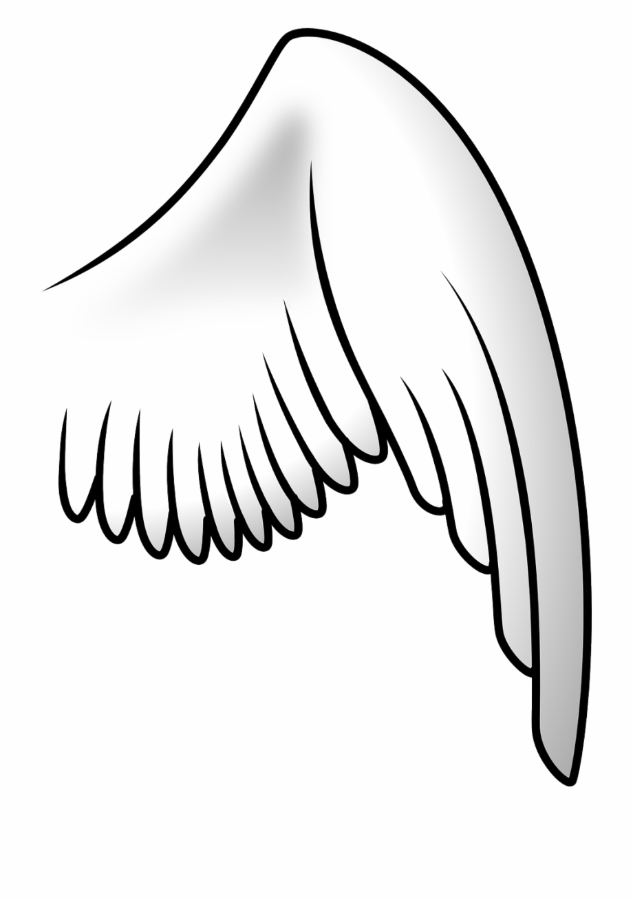 bird wing clipart black and white
