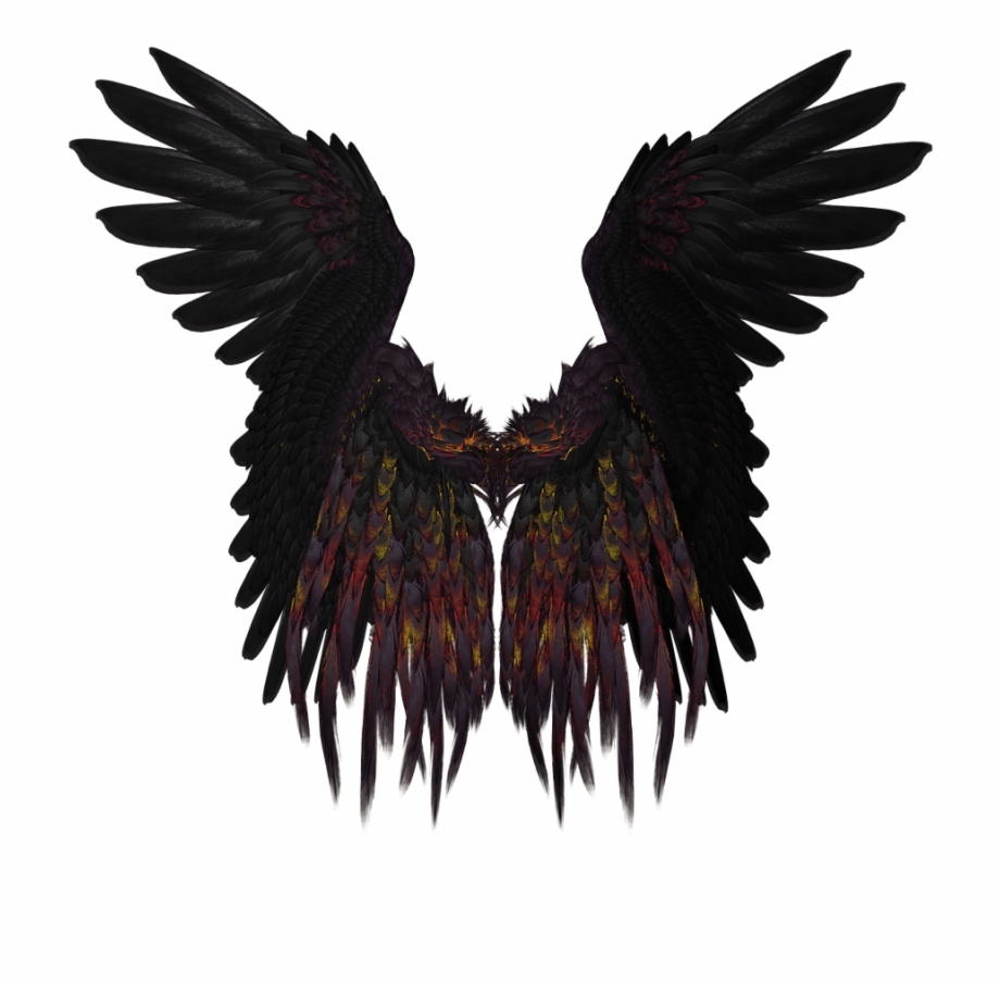 Download Black Angel Wings Transparent