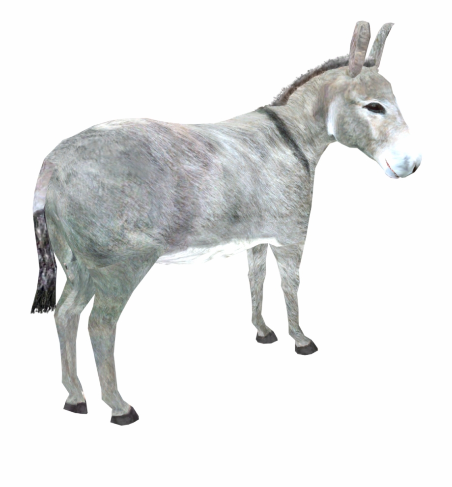 Donkey Vector Free Png Download Image Portable Network