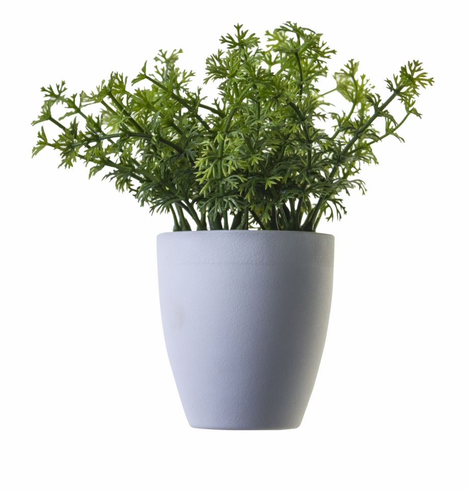 Free Icons Png Transparent Potted Plant Png