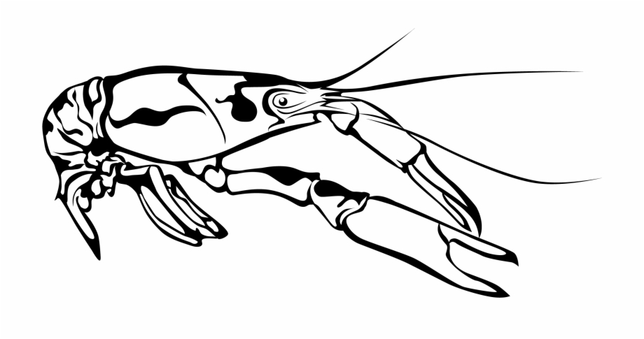 Crawfish Clipart Clip Art Vector Graphics