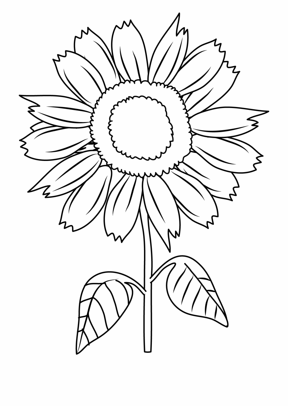 black and white sunflower clip art
