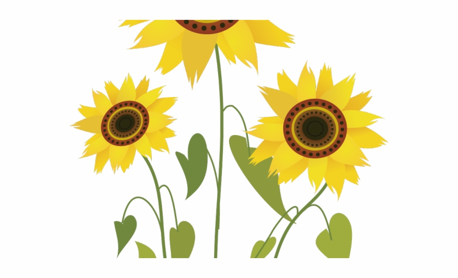 Sunflower Clipart File Sunflowers Drawing