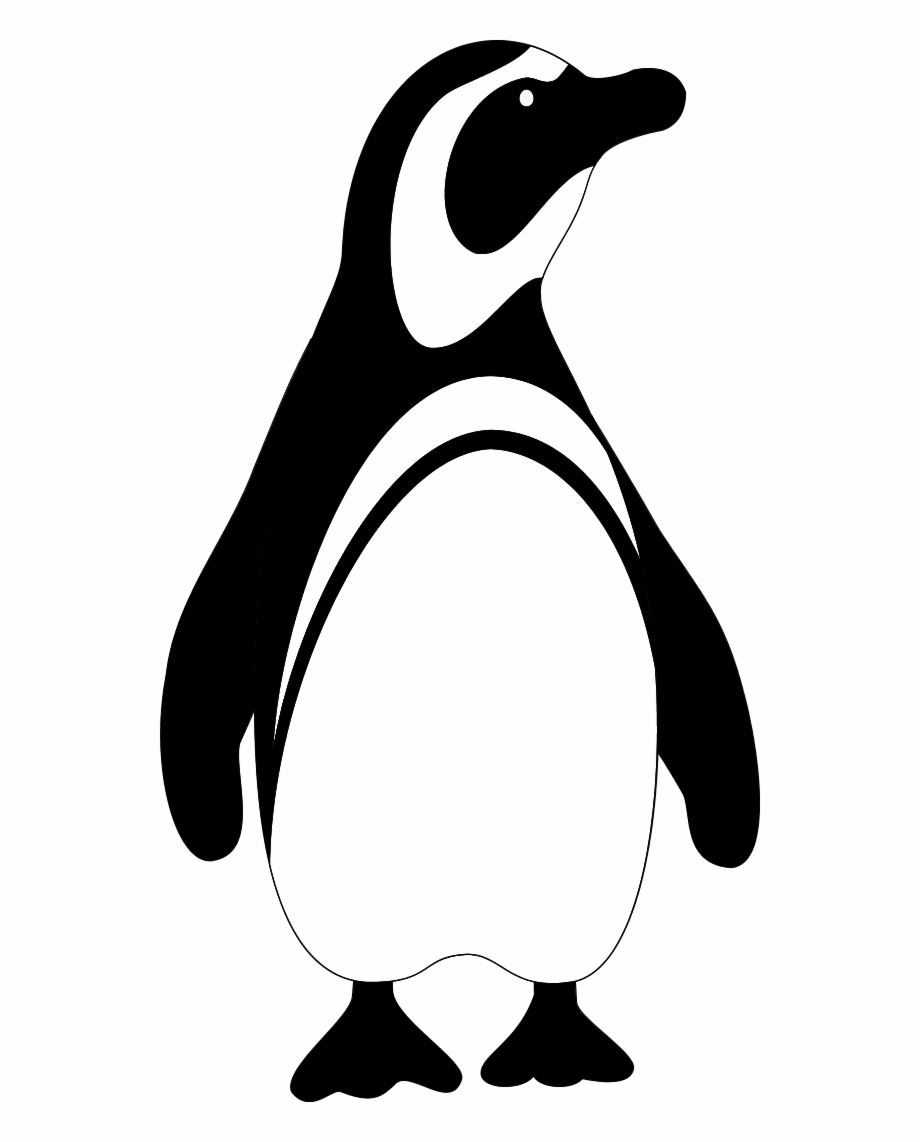 penguin clip art black and white
