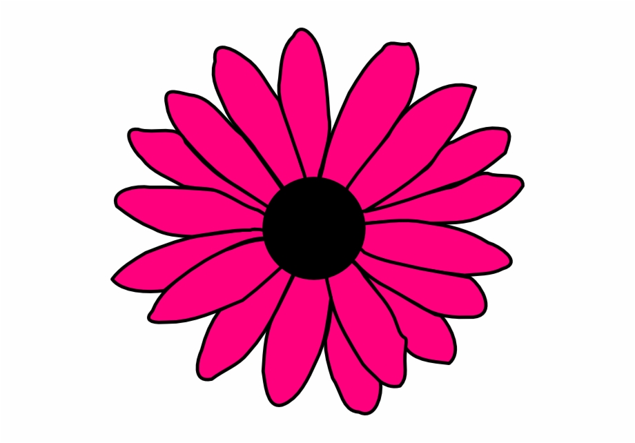 600 X 562 Png 61Kb Pink Daisy Flower